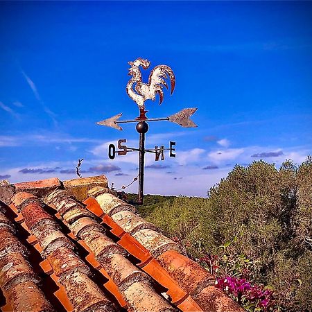 Spartaco Eco Retreat San Pantaleo Sole Ruiu 외부 사진