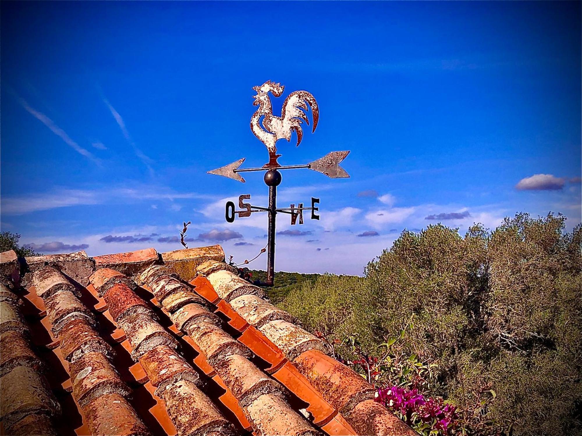 Spartaco Eco Retreat San Pantaleo Sole Ruiu 외부 사진