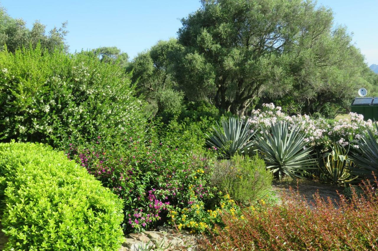 Spartaco Eco Retreat San Pantaleo Sole Ruiu 외부 사진