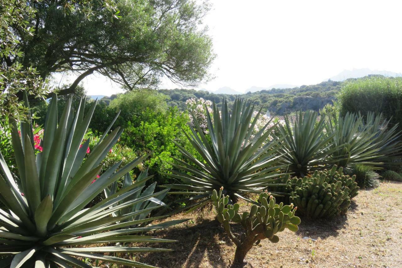 Spartaco Eco Retreat San Pantaleo Sole Ruiu 외부 사진